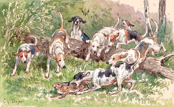 Illustration tirée de l'ouvrage Les Chiens courants français pour la chasse du lièvre (1866) - E. de Vézins - Forestié (Montauban) (12)